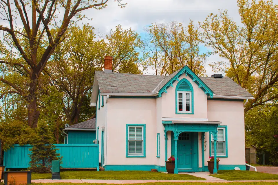 mold removal Raceland